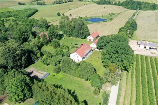 Dom na sprzedaż Węgorzewo, Łuczańska 631m2 Foto 7
