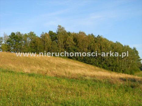 Działka budowlana na sprzedaż Skrzydlna 7 400m2 Foto 3