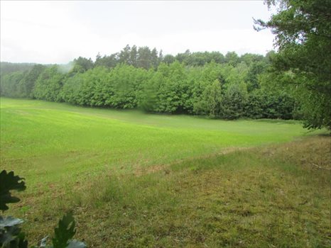 Działka rolna na sprzedaż Łagówek 16 100m2 Foto 4