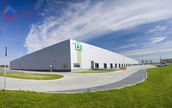 Lokal użytkowy na wynajem Piotrków Trybunalski 10 400m2 Foto 2