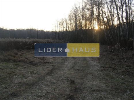 Działka inna pod dzierżawę Łomianki, Dąbrowa Zachodnia 10 000m2 Foto 5