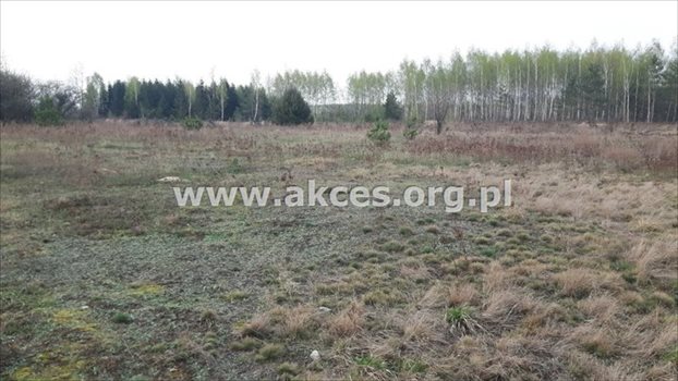 Działka budowlana na sprzedaż Stefanówka 6 231m2 Foto 5