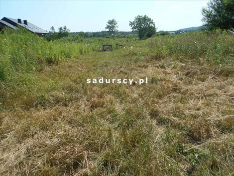 Działka inwestycyjna na sprzedaż Kraków, Dębniki, Kostrze, Tyniecka 5 268m2 Foto 4
