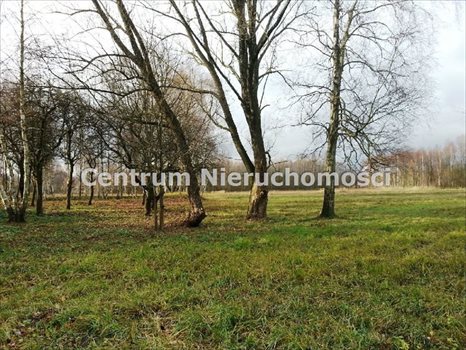 Działka inna na sprzedaż Wręczyca 44 914m2 Foto 3