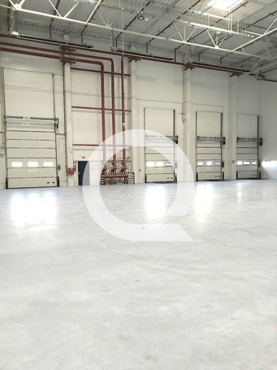 Lokal użytkowy na wynajem Elbląg 2 500m2 Foto 2