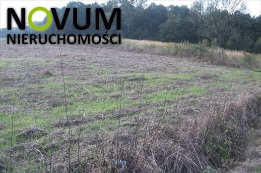 Działka inna na sprzedaż Tarnowskie Góry, Opatowice 945m2 Foto 2