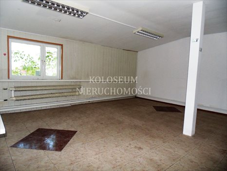 Lokal użytkowy na sprzedaż Łysomice 12 900m2 Foto 5