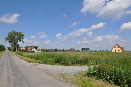 Działka budowlana na sprzedaż Rogów Sobócki, Szkolna 1 731m2 Foto 3