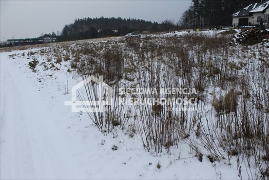 Działka budowlana na sprzedaż Lubowidz, Ługi 1 136m2 Foto 12