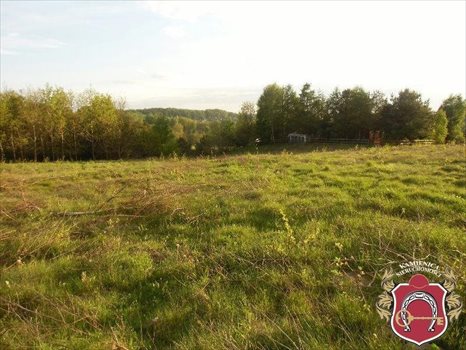 Działka budowlana na sprzedaż Koleczkowo, Bema 3 350m2 Foto 1