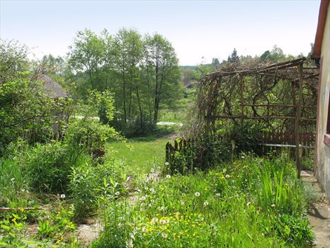 Działka siedliskowa na sprzedaż Witoszyn 2 000m2 Foto 7
