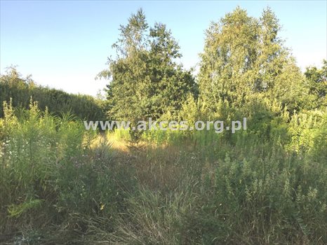 Działka budowlana na sprzedaż Łoś 1 390m2 Foto 2