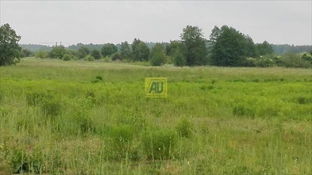 Działka budowlana na sprzedaż Nowe Racibory 15 000m2 Foto 2