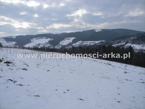 Działka budowlana na sprzedaż Walowa Góra 4 800m2 Foto 4