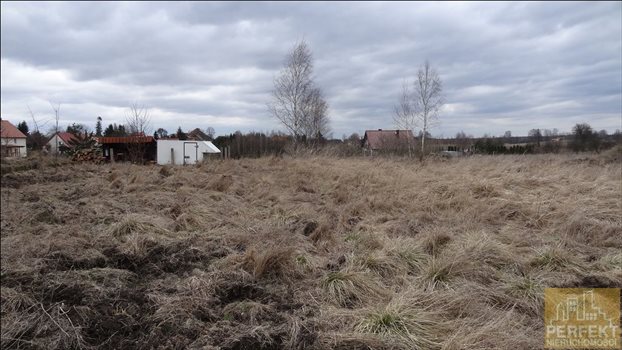 Działka budowlana na sprzedaż Cerkiewnik, Wieś, Cerkiewnik 700m2 Foto 2