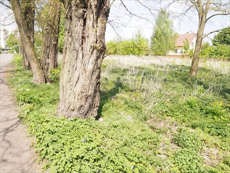 Działka inna na sprzedaż Chełm, Chełm 1 156m2 Foto 2