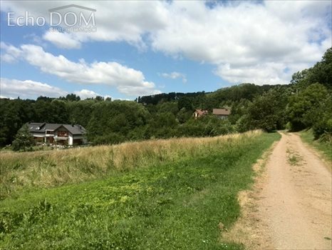 Działka budowlana na sprzedaż Kraków, Swoszowice, Golkowicka 5 000m2 Foto 2