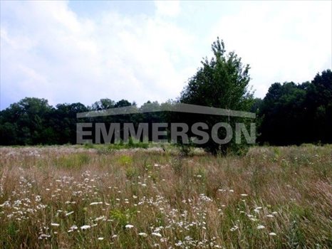 Działka inwestycyjna na sprzedaż Nałęczów 20 400m2 Foto 3