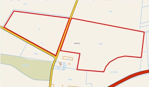 Lokal użytkowy na sprzedaż Szamotuły, Ludwikowo 4 200m2 Foto 11