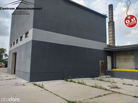 Lokal użytkowy na wynajem Świecie 1 600m2 Foto 7