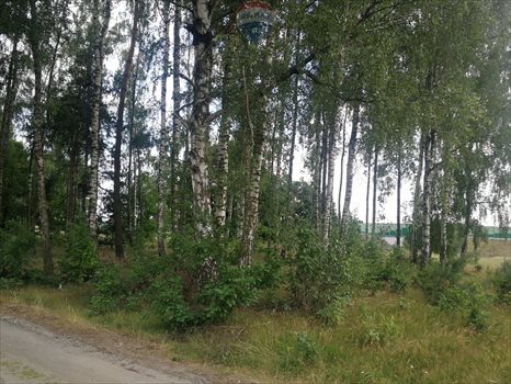 Działka budowlana na sprzedaż Dąbrówka-Strumiany 1 972m2 Foto 2