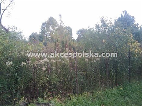 Działka budowlana pod dzierżawę Góraszka 1 000m2 Foto 4