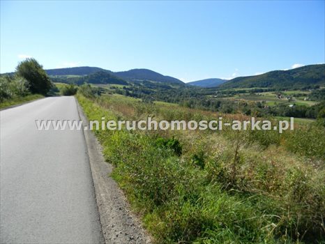 Działka budowlana na sprzedaż Skrzydlna 1 700m2 Foto 2