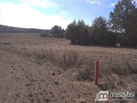 Działka siedliskowa na sprzedaż Kolincz, obrzeża 4 900m2 Foto 10