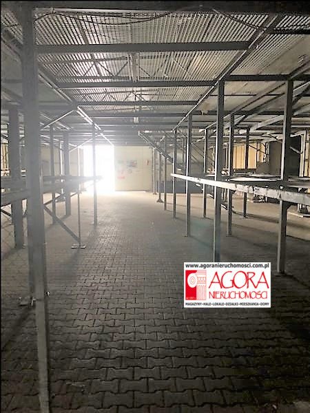 Lokal użytkowy na wynajem Kraków, Prądnik Biały 393m2 Foto 4