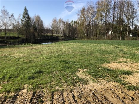 Działka budowlana na sprzedaż Dankowice, Podlesie 1 742m2 Foto 2
