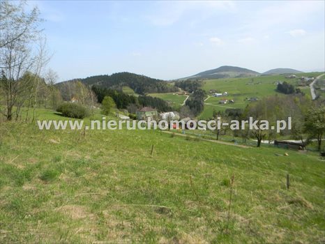 Działka rolna na sprzedaż Stara Wieś 12 900m2 Foto 1