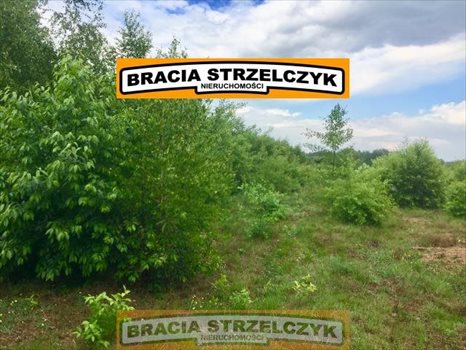 Działka rolna na sprzedaż Wysychy 5 262m2 Foto 3
