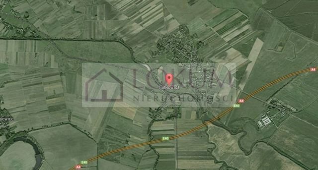 Działka inwestycyjna pod dzierżawę Nienowice 35 600m2 Foto 1