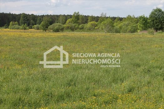 Działka budowlana na sprzedaż Lubowidz 1 005m2 Foto 7