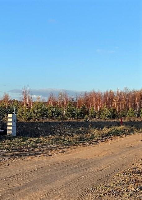 Działka inna na sprzedaż Wierzyce 1 600m2 Foto 4