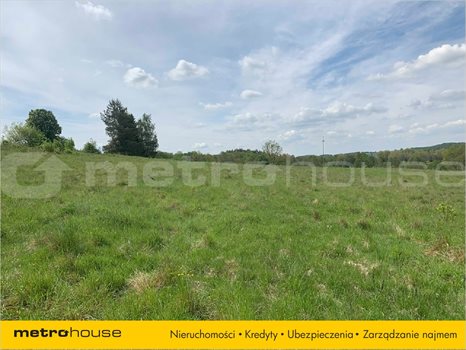 Działka inna na sprzedaż Trzepowo, Przywidz 1 025m2 Foto 2