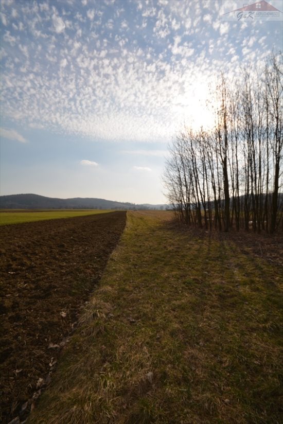 Działka rekreacyjna na sprzedaż Wara 2 955m2 Foto 11