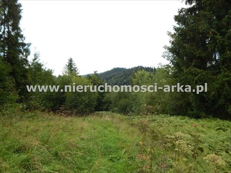 Działka inna na sprzedaż Szczawa 4 800m2 Foto 4