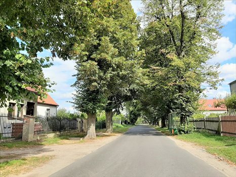 Działka inna na sprzedaż Bagno, Oborniki Śląskie 6 119m2 Foto 5