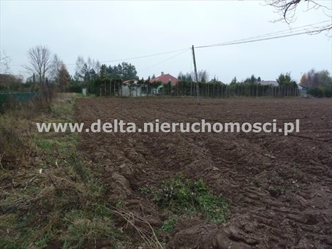 Działka budowlana na sprzedaż Łosino 22 445m2 Foto 2