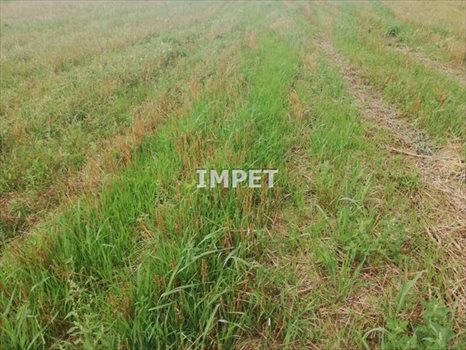 Działka rolna na sprzedaż Dłużyna Dolna 17 069m2 Foto 4