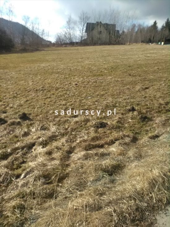 Działka inna na sprzedaż Siekierczyna 2 200m2 Foto 2