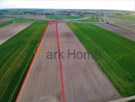 Działka inwestycyjna na sprzedaż Leszno 3 000m2 Foto 2