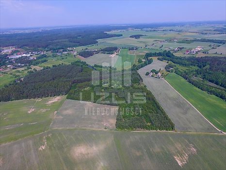 Działka inna na sprzedaż Klonówka, Las, Rzeka 101 600m2 Foto 3