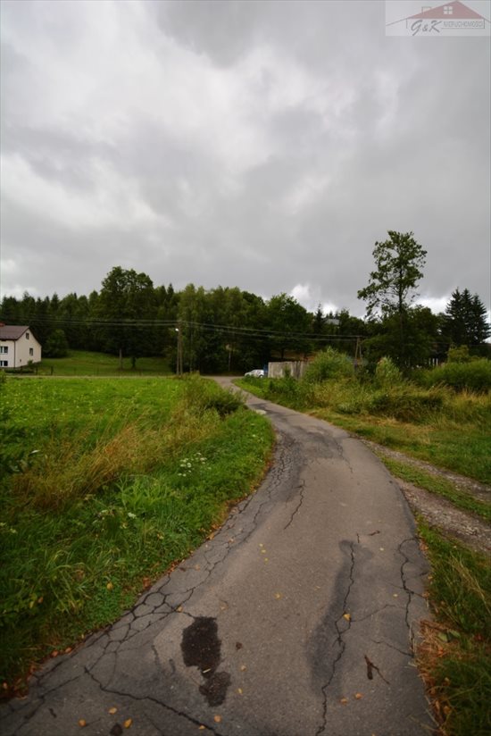 Działka budowlana na sprzedaż Przybówka 1 800m2 Foto 5