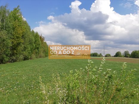 Działka siedliskowa na sprzedaż Bocian 10 000m2 Foto 4