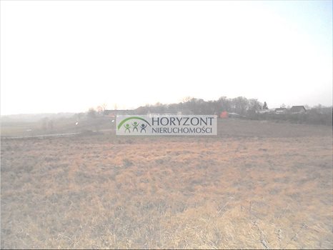 Działka budowlana na sprzedaż Tokary 4 853m2 Foto 2