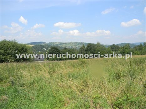 Działka budowlana na sprzedaż Dobra 2 500m2 Foto 4