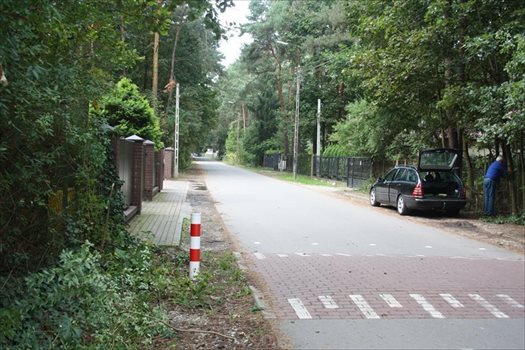 Działka leśna z prawem budowy na sprzedaż Zalesie Górne, Przebudzenia Wiosny 1 982m2 Foto 2