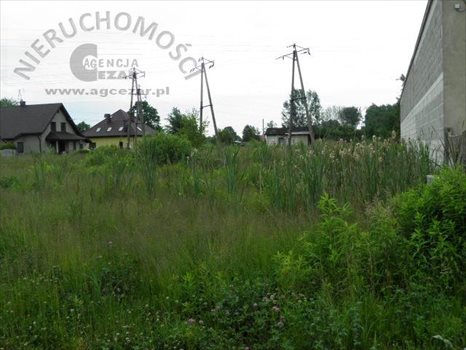 Lokal użytkowy na sprzedaż Mińsk Mazowiecki, Stojadła 250m2 Foto 5